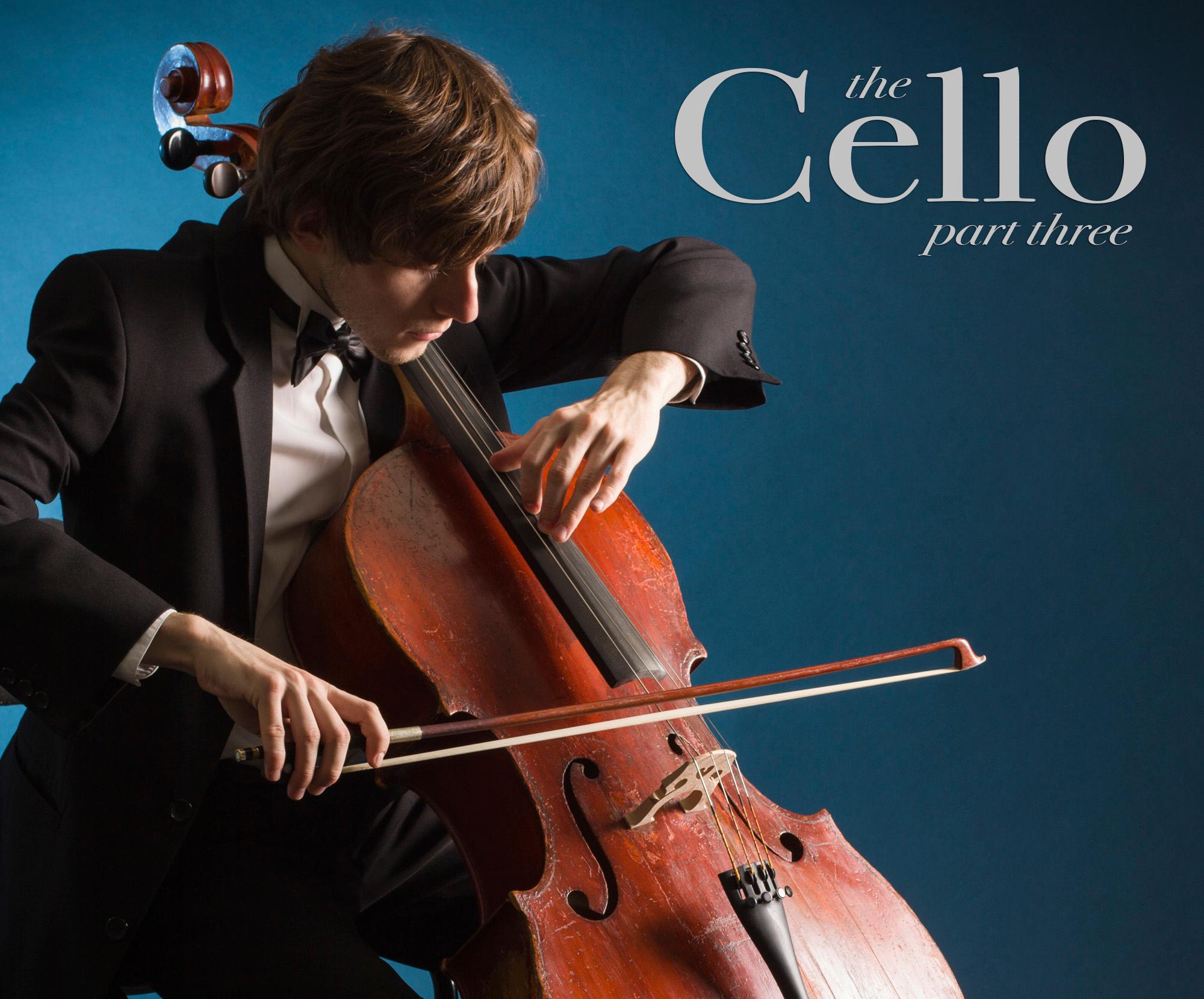 Make Strings Your Thing: The Cello - Part 3: The Yamaha Cello Range